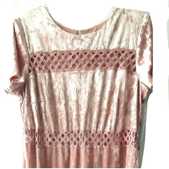 *Signature by Sangia Velvet Shift Dress - Picture 3 of 5